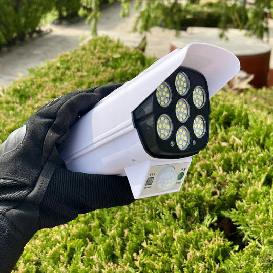 Security Solar Light